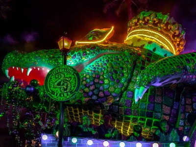 Mardi Gras @bioreconstruct 1 Mardi Gras @bioreconstruct 1