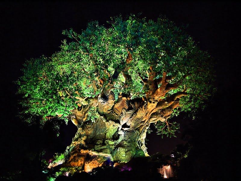 The Tree of Life