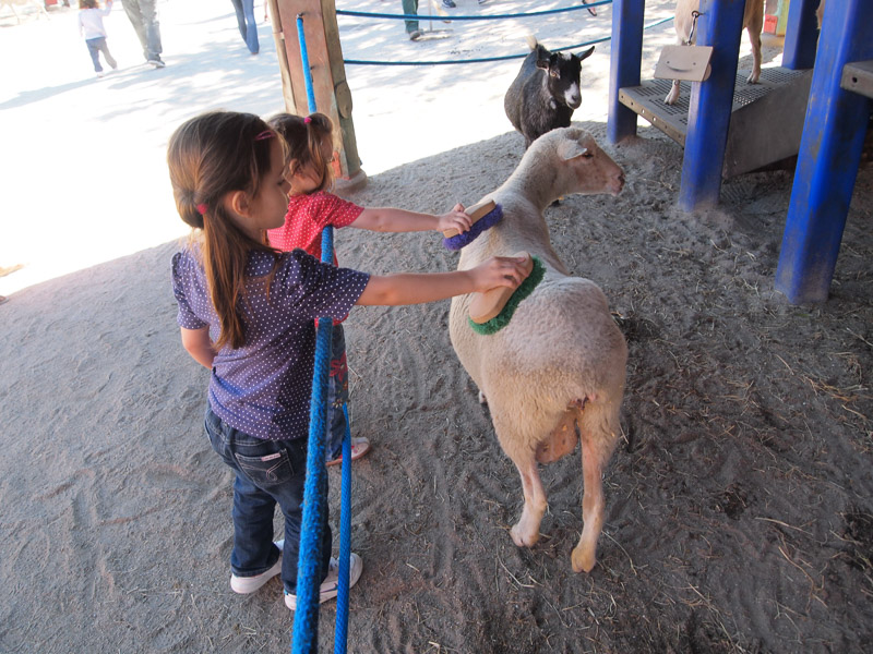 Affection Section