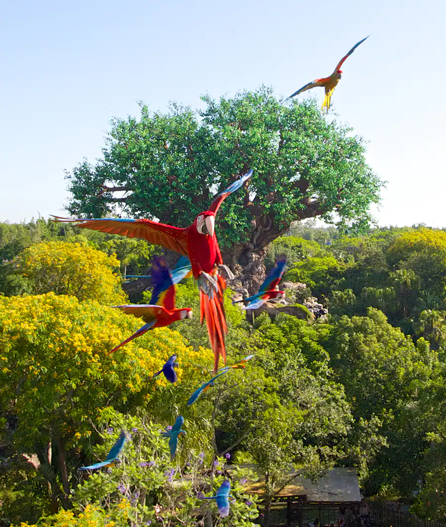 Animal Encounters: Winged Encounters