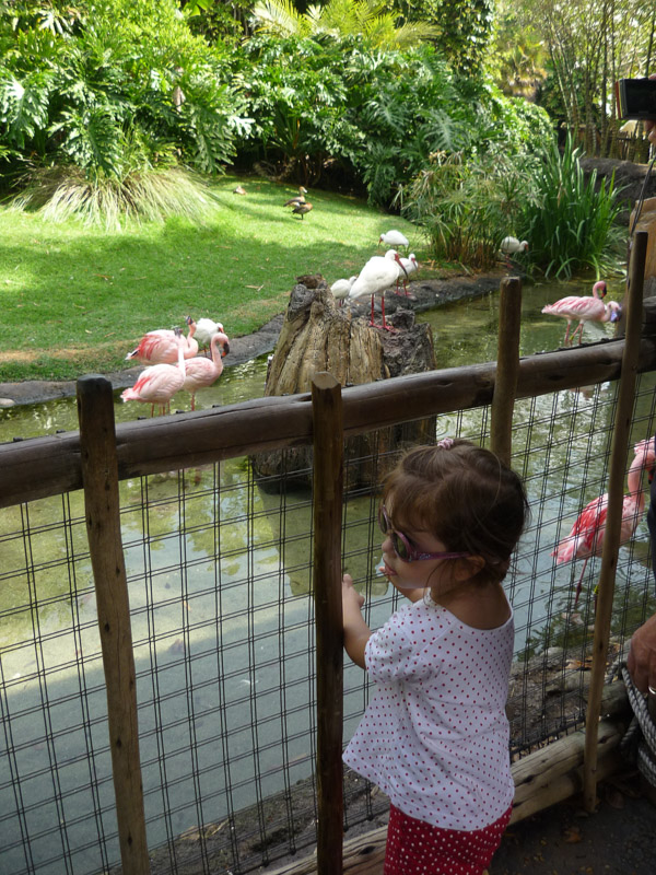 The Oasis Exhibits