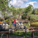 Hagrid’s Magical Creatures Motorbike Adventure: cambios importantes en Universal Express