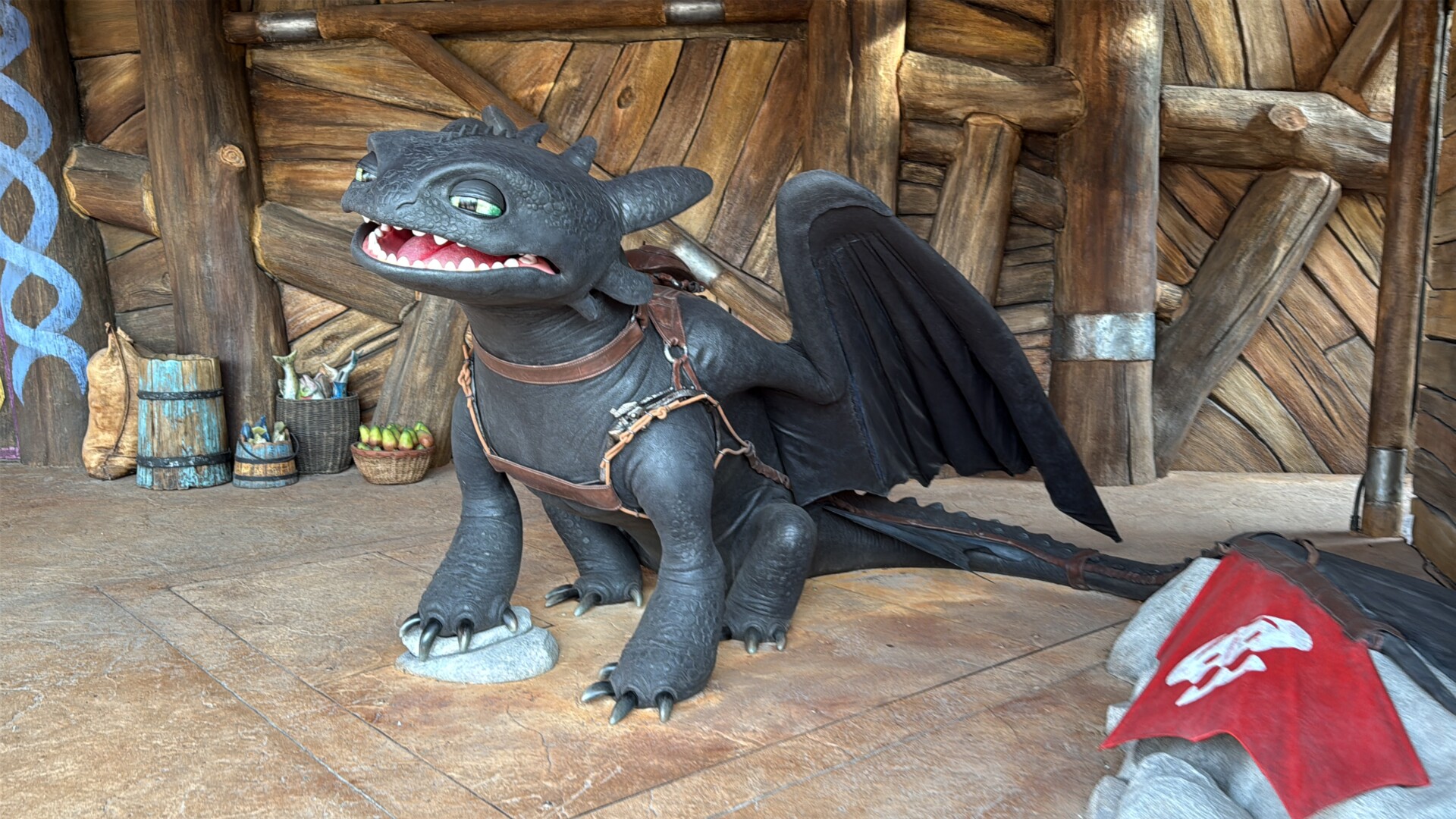 Meet Toothless and Hiccup