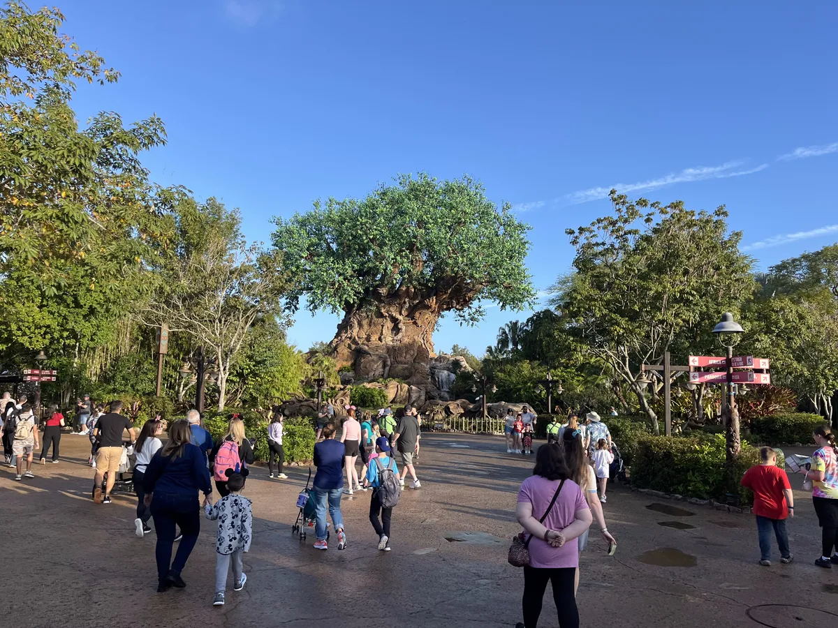 Discovery Island y el Árbol de la Vida en Animal Kingdom, Walt Disney World