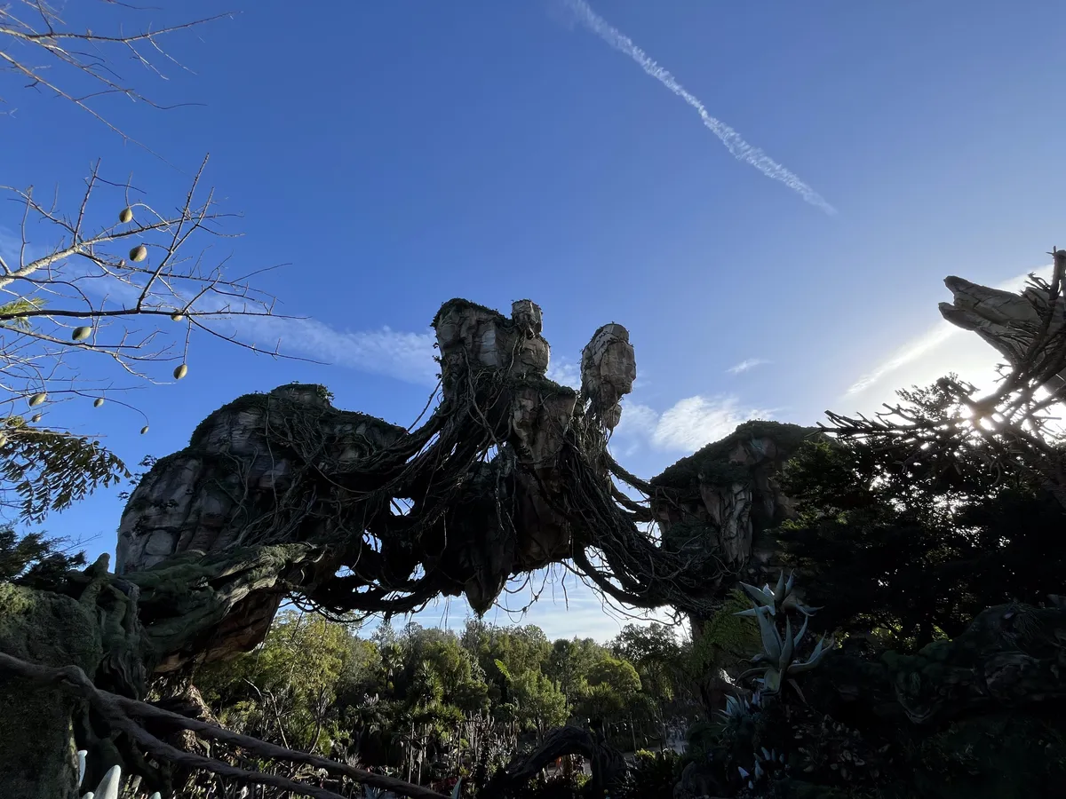 Pandora: The World of Avatar en Animal Kingdom, Walt Disney World
