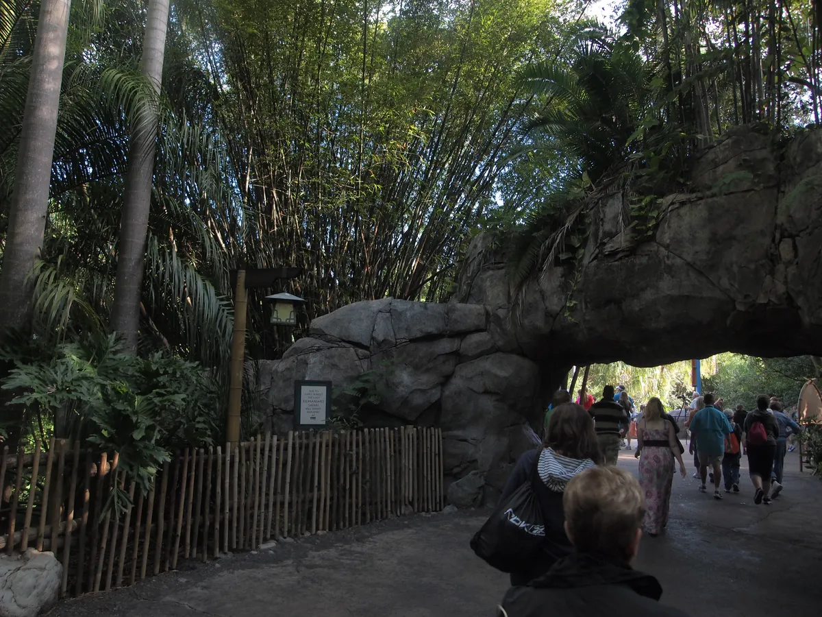 The Oasis en Animal Kingdom, Walt Disney World