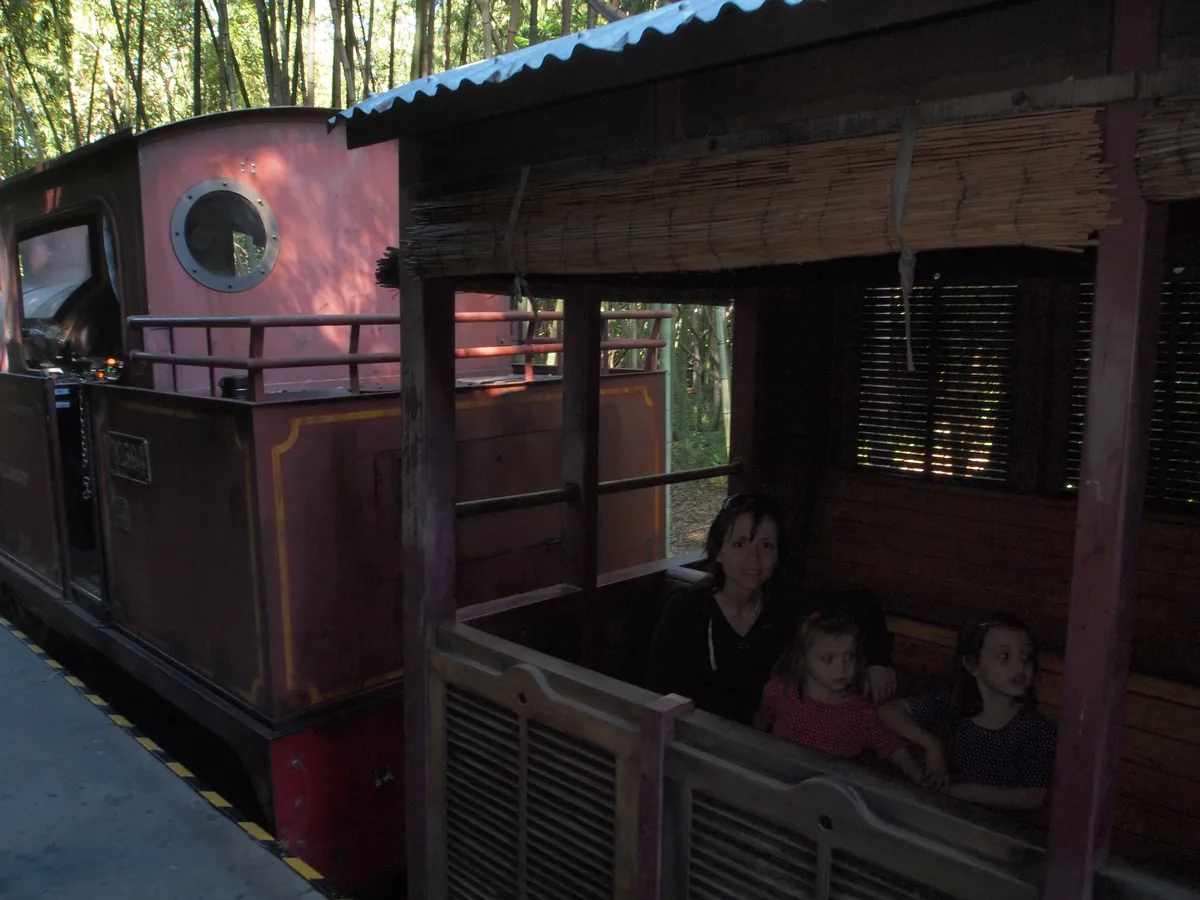 Wildlife Express Train en Animal Kingdom, Walt Disney World